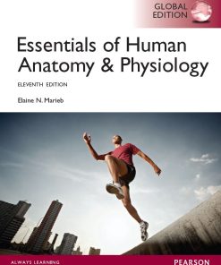 Essentials of Anatomy ampamp Physiology Global 11th 11E Elaine Marieb