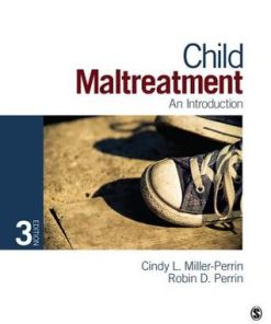 Child Maltreatment An Introduction 3Rd