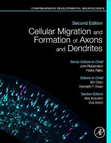 Cellular Migration And Formation Of Axons And Dendrites Comprehensive Developmental Neuroscience 2Nd