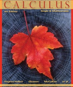 Calculus Single and Multivariable 6th 6E HughesHallett