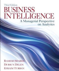 Business Intelligence A Managerial Perspective On Analytics 3Rd