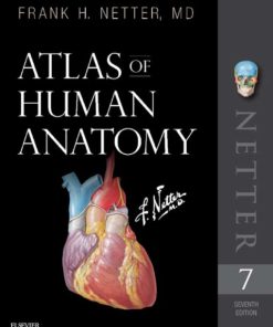 Atlas of Human Anatomy 7th 7E Frank Netter
