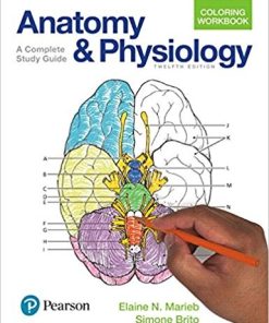Anatomy and Physiology Coloring Workbook 12th