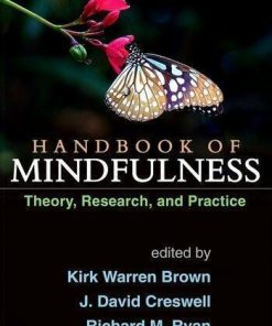 Handbook Of Mindfulness Theory Research And Practice
