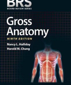Brs Gross Anatomy 9Th