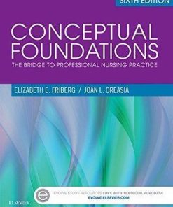 Conceptual Foundations The Bridge To Professional Nursing Practice 6Th
