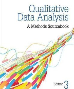 Qualitative Data Analysis A Methods Sourcebook 3Rd