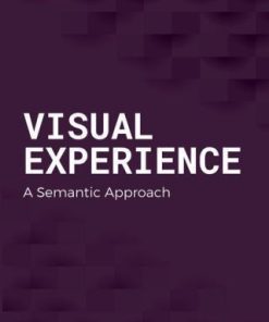 Visual Experience A Semantic Approach