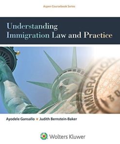 Understanding Immigration Law and Practice 8211 1st