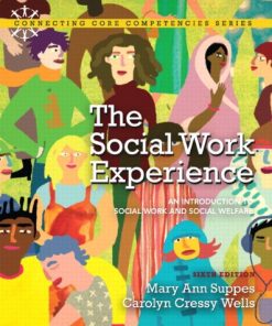 The Social Work Experience An Introduction to Social Work and Social Welfare 8211 6th