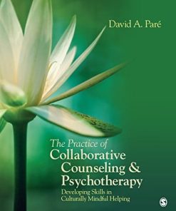The Practice of Collaborative Counseling 038 Psychotherapy Developing Skills in Culturally Mindful Helping 8211 1st