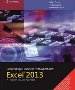 Succeeding in Business with Microsoft Excel 2013 A ProblemSolving Approach 8211 1st