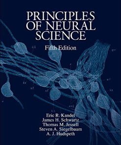 Principles of neural science 8211 5th