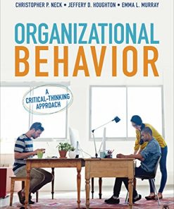 Organizational Behavior A CriticalThinking Approach 8211 1st