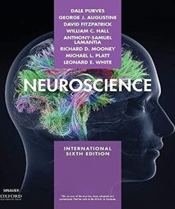 Neuroscience 6th Testbank Powerpoint etc