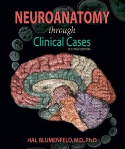 Neuroanatomy Through Clinical Cases