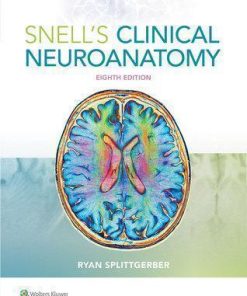 Snells Clinical Neuroanatomy 8Th