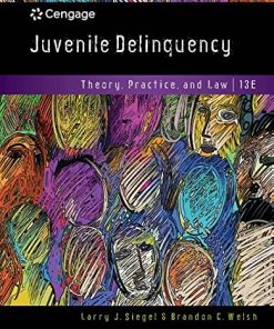 Juvenile Delinquency Theory Practice and Law 8211 13th