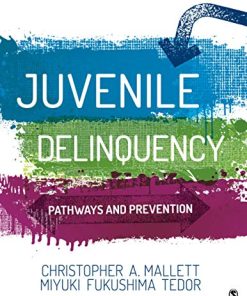 Juvenile Delinquency Pathways and Prevention 8211 1st