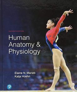 Human Anatomy Physiology 11th Marieb and Hoehn