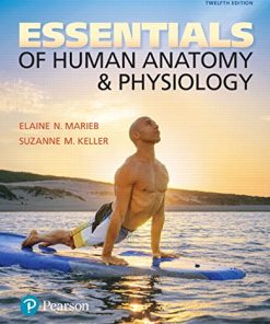 Essentials of Human Anatomy 038 Physiology Plus Mastering A038P with Pearson 8211 12th