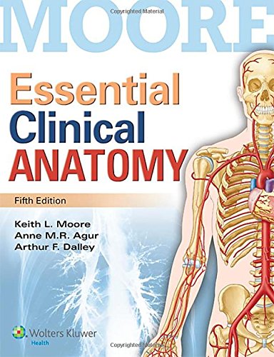 Essential clinical anatomy 8211 5th