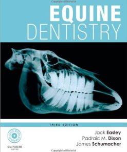Equine Dentistry 8211 3rd