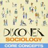 Discover Sociology Core Concepts 8211 1st