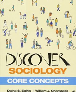 Discover Sociology Core Concepts 8211 1st