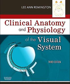 Clinical Anatomy and Physiology of the Visual System 8211 3rd