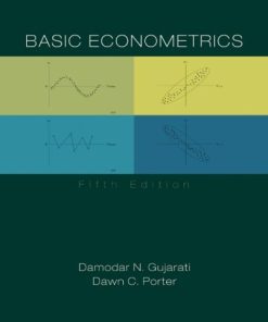 Basic Econometrics