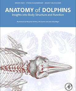 Anatomy of Dolphins Insights Into Body Structure and Function