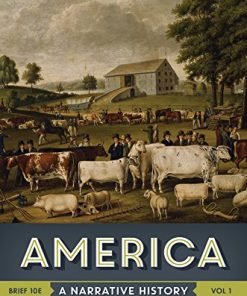 America A Narrative History Vol 1 8211 10th