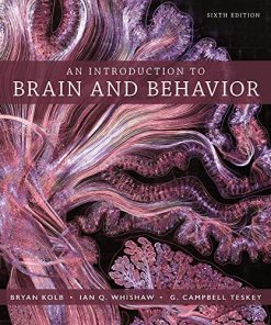 An Introduction to Brain and Behavior 6th by Bryan Kolb