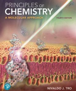 Principles Of Chemistry A Molecular Approach 4Th