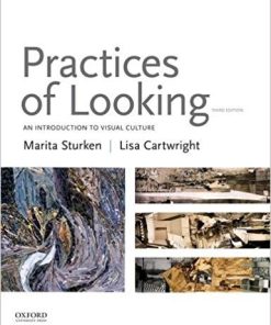 Practices of Looking An Introduction to Visual Culture 3rd
