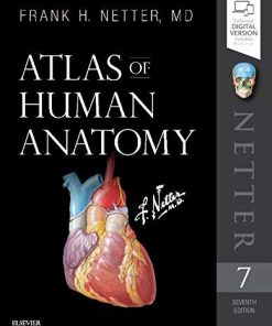Atlas of Human Anatomy Netter Basic Science 7th