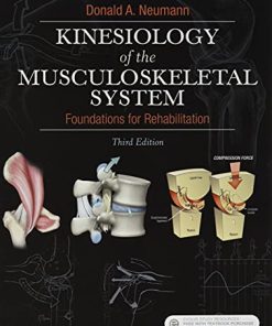 Kinesiology of the Musculoskeletal System Foundations for Rehabilitation 3rd