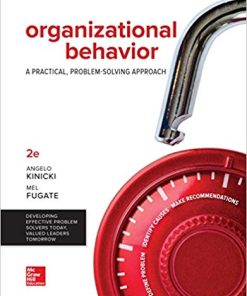 Organizational Behavior A Practical ProblemSolving Approach 2nd