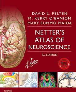 Netters Atlas of Neuroscience Netters Atlas of Neuroscience Netter Basic Science 3rd