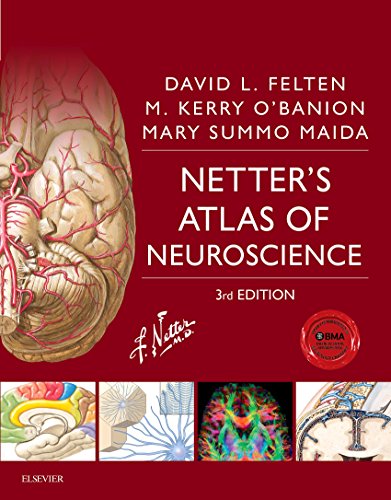 Netters Atlas of Neuroscience Netters Atlas of Neuroscience Netter Basic Science 3rd