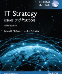 IT Strategy Issues and Practices 3rd 3E