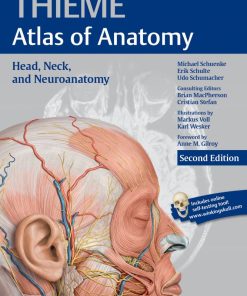 THIEME Atlas of Anatomy Head Neck and Neuroanatomy 2nd 2E