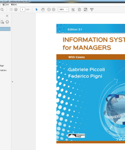 Information Systems for Managers with Cases 31