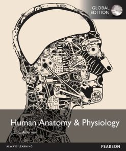 Human Anatomy and Physiology 1st 1E