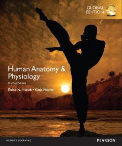 Human Anatomy and Physiology 10th 10E